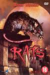 Rats